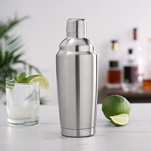 True Vacuum Insulated Cocktail Shaker for Cold Brew Cocktails, Stainless Steel Martini Shaker with Strainer, Home Bar Tool...