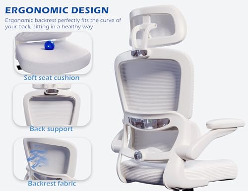 TRALT Ergonomic Office Chair - Desk Chair with Adjustable Headrest Lumbar Support Computer Chair - Mesh Comfy Chair with F...