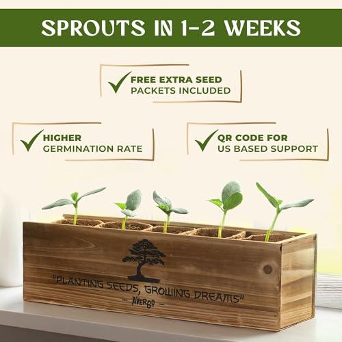 DIY Bonsai Tree Kit for Beginners – 5X Unique Japanese Bonzai Trees | Complete Indoor Bonsai Starter Kit for Growing Bonsa...