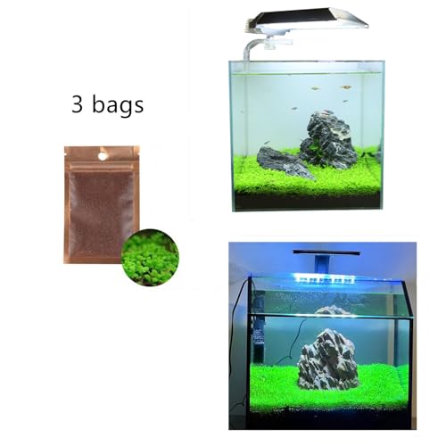 MISUHALOU Aquarium G-r-a-s-s P-l-a-n-t - 3 Pack | Easy-Growing Water P-l-a-n-t for Fish Tank Aquarium