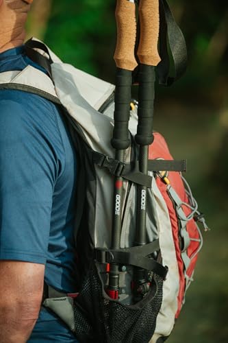 Goode Carbon Peak Backcountry Trekking Poles, 428g, 25-54 in Height Range, 2-Stage Adjustable