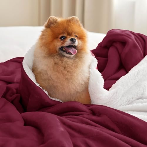 Bedsure GentleSoft Sherpa Fleece Throw Blanket for Couch - Thick and Warm Throw for Girls and Women, Soft Fuzzy Plush Chri...