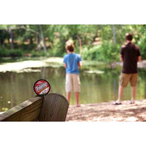 Berkley Trilene¢ç XL¢ç, Low-Vis Green, 20lb | 9kg, 3000yd | 2743m Monofilament Fishing Line, Suitable for Freshwater Environments