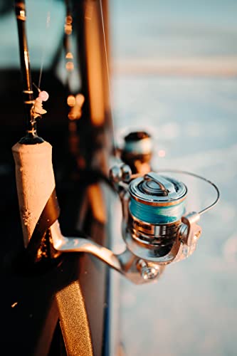 13 Fishing - Kalon C - Spinning Reels