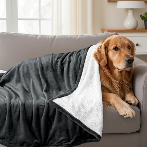 Utopia Bedding Sherpa Blanket Queen Size (Grey, 90x90 Inches) - Soft Lightweight Plush Fleece Reversible Blanket for Bed, ...