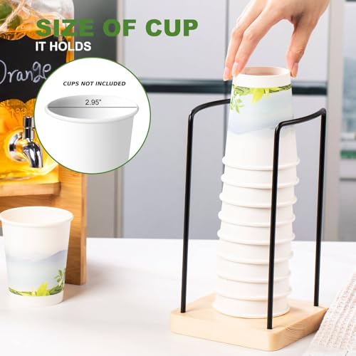 Glass Drink Dispenser with Stand, 1 Gallon Beverage Dispenser for Parties with Cup Holder, Includes Ice & Fruit Infuser, 1...