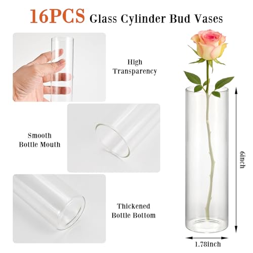 Tigvio 16 Pack 5.9" Tall x 1.8" Diameter Clear Glass Cylinder Vases - Multi-Use Flower Vase, Hurricane & Floating Candle H...