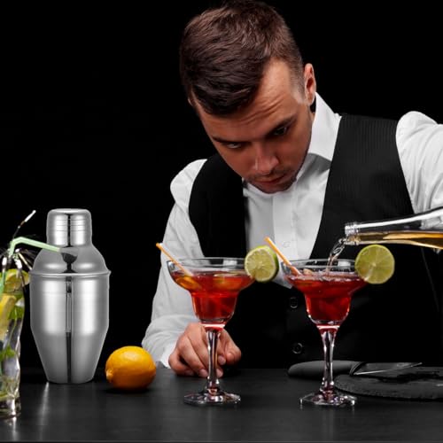 Nitial 9 Pcs Bar Cocktail Shaker Professional Stainless Steel Martini Drink Mixer Built-in Strainer for Bartending No Leak...