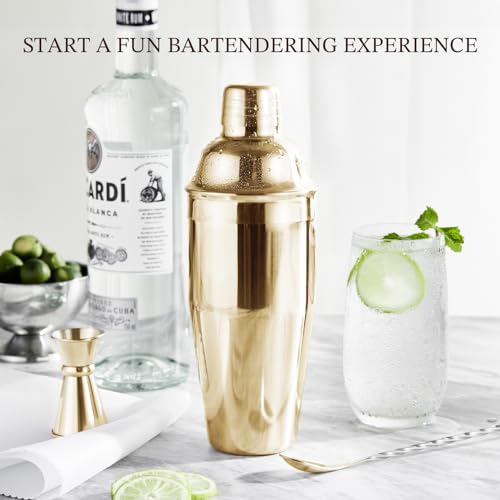 KITESSENSU Cocktail Shaker Set, Stainless Steel Bartending Kit with 25 Ounce Cocktail Shaker with Built in Drink Strainer,...
