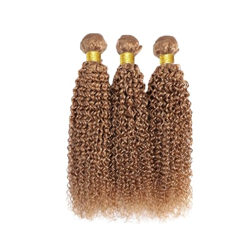 22 24 26 Inch Color 27 Bundles Human Hair Honey Blonde Curly Bundles Brazilian Unprocessed Virgin Hair 3 Bundles Color 27 Kinky Curly Bundles Human Hair