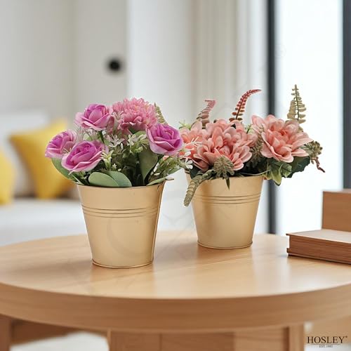 Hosley 6 Pack Gold Metal Buckets, 4" Dia x 3.6" H. Ice Pails for Plants, Succulents, Party Favors Organizing, Rustic Home ...