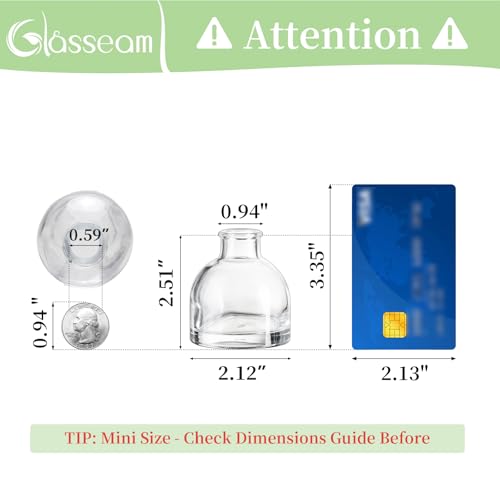Glasseam Clear Glass Vases for Centerpieces: Mini Flower Vase Set 28Pcs Bud Vases in Bulk - Modern Small Vases for Home Ro...