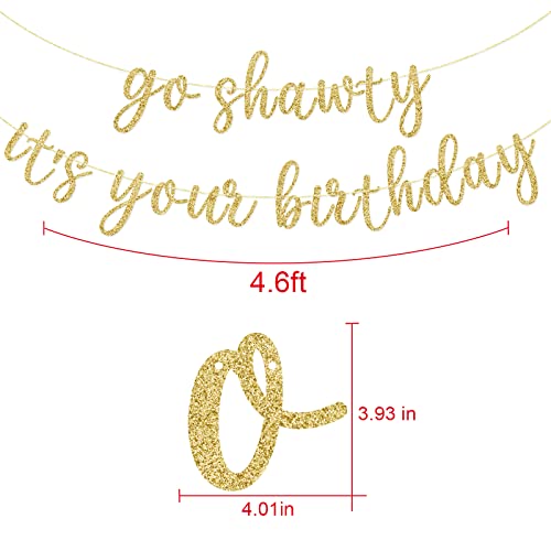 Go Shawty It's Your Birthday Banner, Hip Hop Birthday Party Decorations Supplies, Rap Theme Bday Bunting Sign, Pre-strung,...