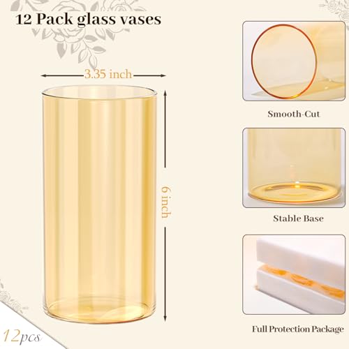 TBWIND 12pcs Glass Gold Amber Cylinder Vases for Centerpieces, 6 Inch Champagne Flower Vases for Wedding Decorations, Indo...