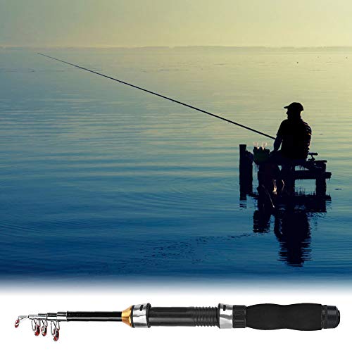 Fishing Rod, Universal Mini Small Sea Pole Portable Short Pole Ice Fishing Rod Mini Pocket Sea Fishing Tools for Ice Fly F...