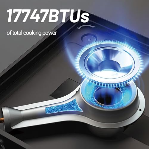 Himalaya Camping Stove, Cookware Portable Butane Stove Burner Gas Camp Stove Magnetic Canister 5200W Adjustable Burners Pi...