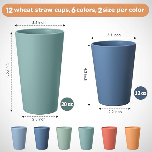 HEYCOME Set of 12 Wheat Straw Cups, 6 Pcs 20 oz & 6 Pcs 12 oz Unbreakable Drinking Cups, Reusable Plastic Cups Sets, Water...