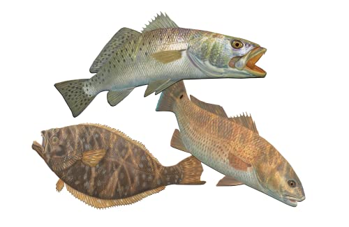 Saltwater Fish Decals Inshore Slam Flounder Fluke Fishing Stickers Redfish Red Drum Seatrout UV Protected Sea Trout Fish S...
