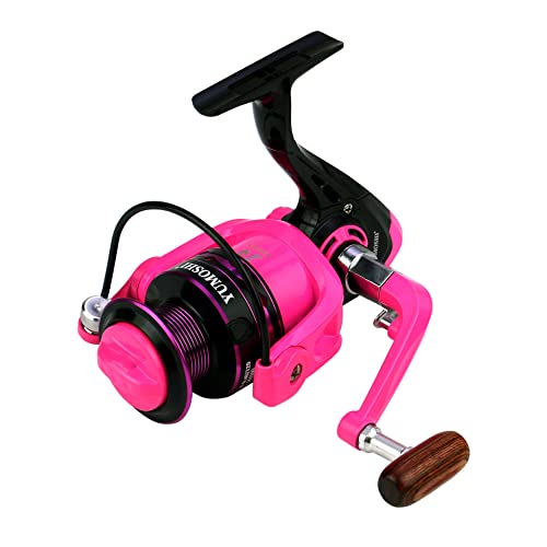 GaiRen Fishing Spinning Reel Gear Ratio 5.2:1 Lightweight Left/Right Hand Interchangeable Ultra Smooth Powerful 2000, 300...