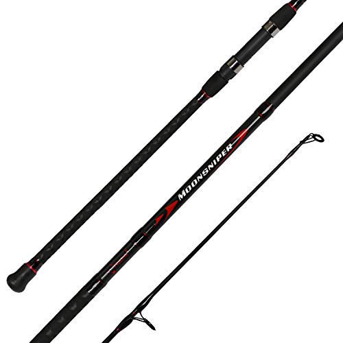 Fiblink Surf Spinning Fishing Rod 2-Piece/4-Piece Graphite Travel Fishing Rod