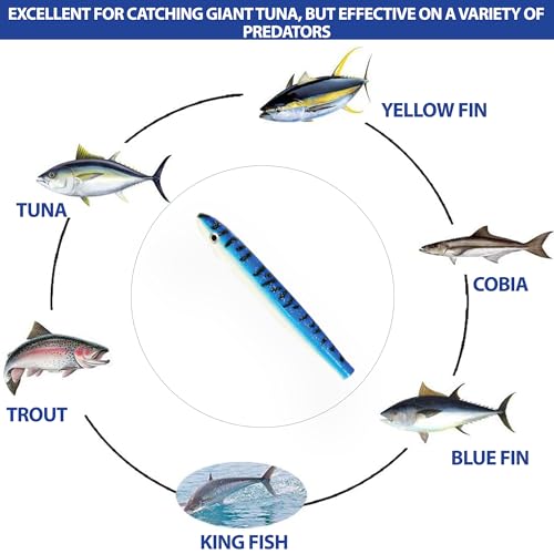6" Cedar Plug Lures, 6 Pcs Blue/White Unrigged, for Offshore Trolling, Includes Saltwater Lure Bag, Ideal for Tuna Fishing