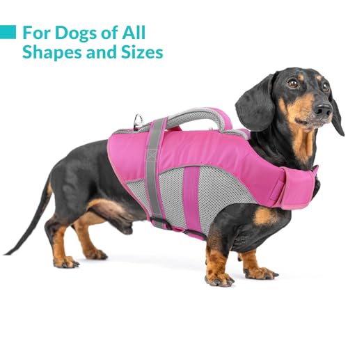 Queenmore Dog Life Vest for Swimming, Adjustable High Visibility Dogs Life Jacket, Dog Lifesaver with Superior Buoyancy an...