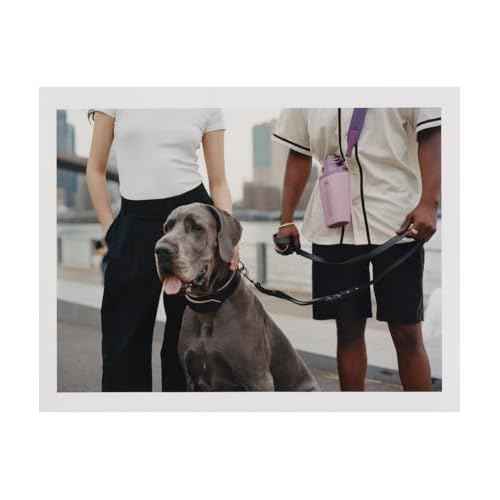 STANLEY Cross Bottle Essentials Case Max | Phone, Wallet, Keys Holder for Water Bottle | Faux Leather Accessory Pouch