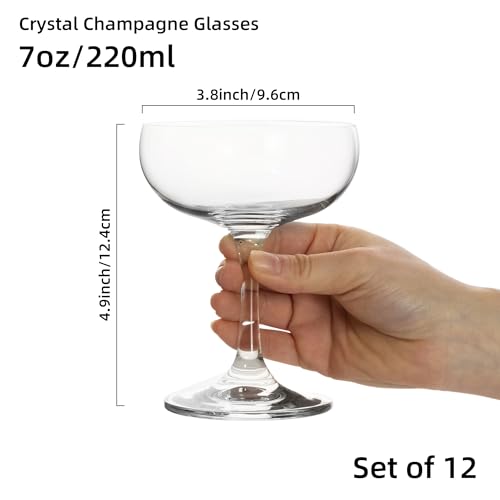 YARYOUNG Set of 12 Crystal Champagne Glasses, 7 oz Elegant Coupe Glasses, Classic Cocktail Glass for Martini, Margarita, M...