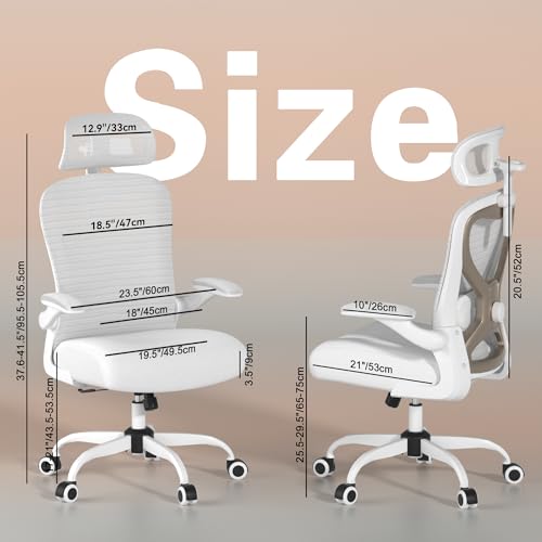Ergonomic Office Chair for Back & Neck Pain Relief, Virgin Foam Seat, 2D Adjustable Lumbar & 3D Headrest, Tilt & Rock for ...