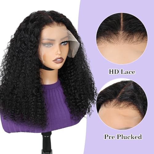 Kinky Curly Lace Front Wigs 13x6 HD Lace Front Wig for Women Short Curly 14 Inch Pre Plucked with Baby Hair 12A 180% Afro Human Hair Wigs