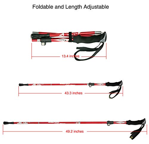A ALAFEN Aluminum Collapsible Ultralight Travel Trekking Hiking Pole for Men and Women (Fits 5'3" - 6'2")
