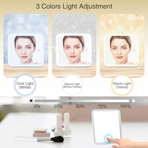 Relavel Travel Makeup Bag With LED Mirror, Cosmetic Train Case with Light up Mirror, Portable Makeup Artist Organizer Bag ...
