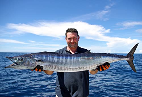 Ballyhoo Trolling Lures with Free Offshore Rig Included for Mahi Mahi Dolphin Dorado Wahoo Marlin Tuna Offshore Big Game L...