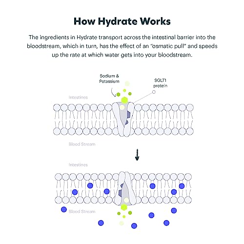 Cheers Classic Combo | Restore + Hydrate | Rehydrate & Feel Better After Drinking | DHM, L-Cysteine, B-Vitamins, Electroly...
