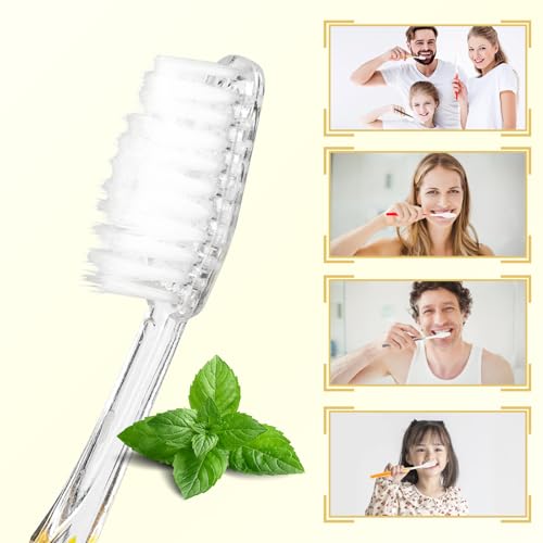 500pcs Prepasted Disposable Toothbrushes Bulk Individually Wrapped Pre Pasted Soft Bristle Tooth Brush Set Travel Toothbrushes for Homeless Gift Hotel Camping Travel
