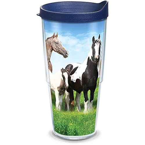Tervis Horses Made in USA Double Walled Insulated Tumbler Travel Cup Keeps Drinks Cold & Hot, 24oz, Clear