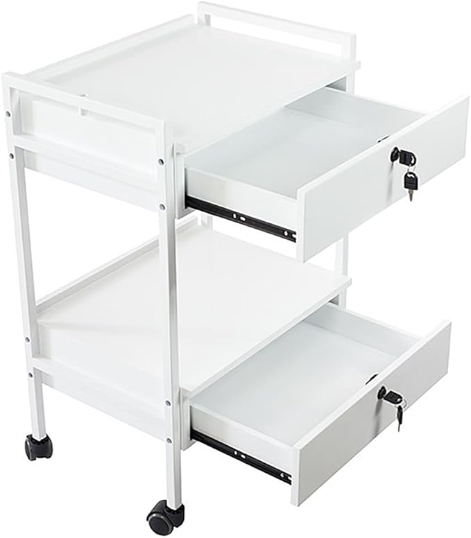 SKINACT Pro Medical Dental Mobile Utility Cabinet & Cart with Steel Frame and Two Drawer
