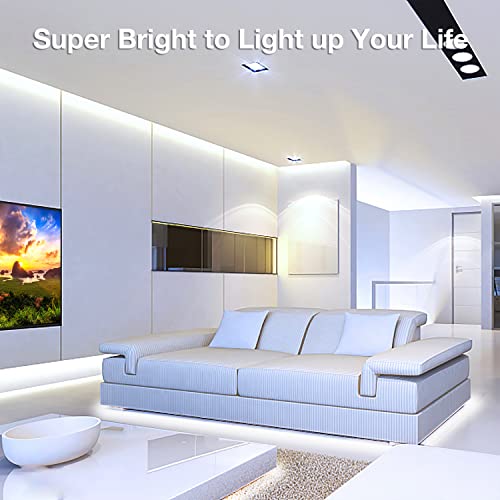 DAYBETTER COB LED Strip, 16.4 ft White LED Strip Lights, Dimmable LED Light Strip 6500K Bright Daylight White, 24V, 1600LE...