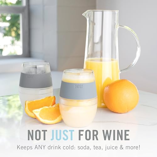 Host Wine Freeze Cup Set of 2 - Plastic Double Wall Insulated Wine Cooling Freezable Drink Glasses with Freezing Gel, Wine...