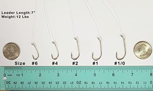 Angler's Grotto Snelled Offset Baitholder Hook | 10 Count Per Pack | Freshwater Saltwater Fishing Hooks | High Carbon Stee...