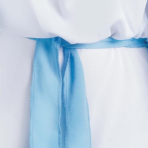 Fun World Adult Mary Costume