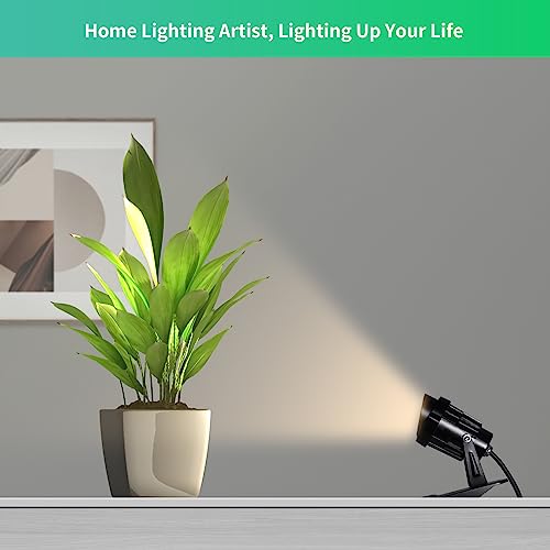 AKTSNYMPH LED Clamp Spot Lights,Indoor/Outdoor Plants Decor Accent Lighting,Clip on Lights Daylight White Uplights with 9....