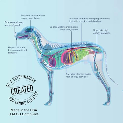 Replenish Dog Recovery Water Supplement – Pedialyte for Dogs Hydration Drink & Water Additive - Electrolytes for Dogs Hydr...