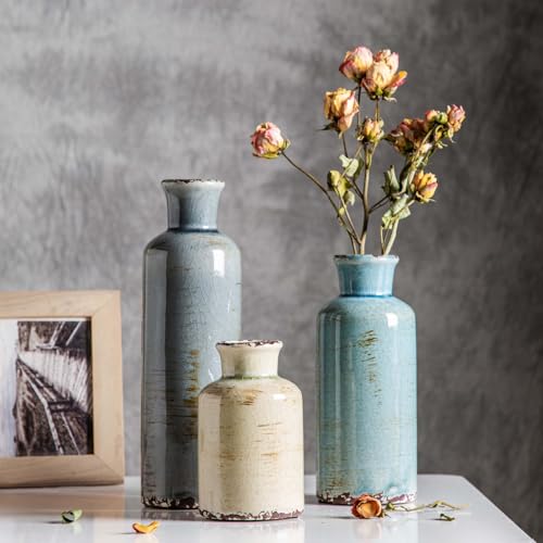 CwlwGO- Ceramic Vase Set of 3, Small Flower Vases for Home Decoration, Modern Farmhouse Decor, Living Room Kitchen Table C...