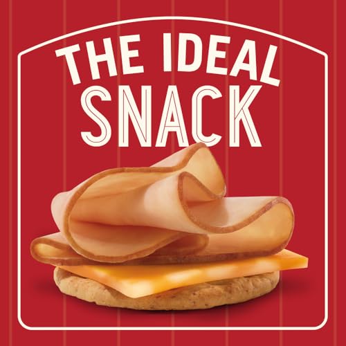 Hillshire Farm Snack Kit: Honey Turkey, Colby Jack Cheese, Wheat Cracker, 2.76 Oz