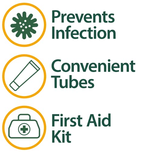 Globe Triple Antibiotic Ointment 1.0 oz (4 Pack), First Aid Ointment for Minor Scrapes, Cuts, and Burns to Help Prevent In...