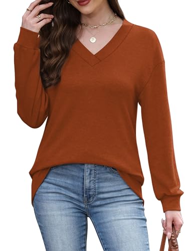 WIHOLL Long Sleeve Shirts for Women V Neck Tops Tunic Fall Winter Sweatshirts 2025 Clothes