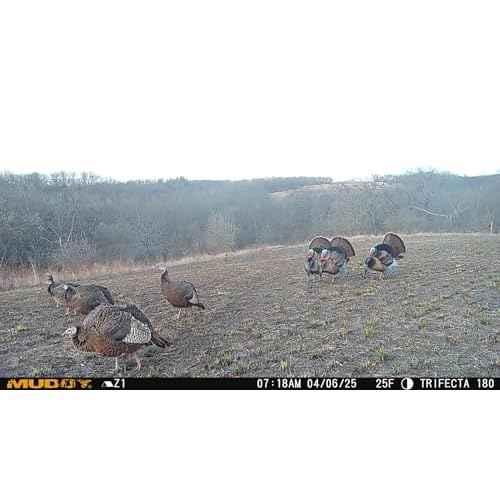 Muddy Trifecta 180 Degree Cellular Trail Camera 36MP