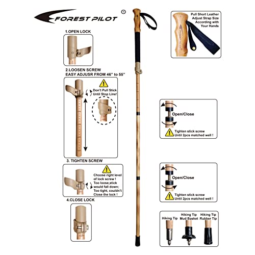 FOREST PILOT Trekking Poles- 1-pc Pack - Adjustable Hiking or Walking Stick –Strong, Natural Beech Wood - Quick Adjust Fli...