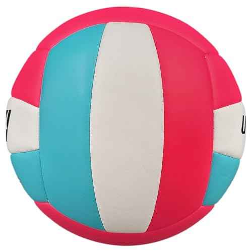 Baden | Soft Strike | Cushioned Synthetic Leather Recreational Volleyball | Indoor/Outdoor for Beginners & Youth | Official Size